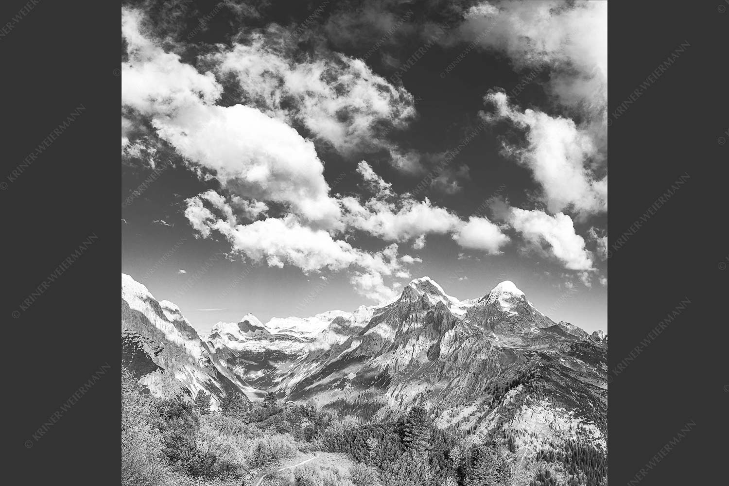 Blick über die Aussichtskanzel am Schachen zum Alpspitzmassiv mit Zugspitzplatt - Bella Vista 1:1 sw -- Aussicht vom Schachen - mehr Infos bei www.Kriner-Weiermann.de