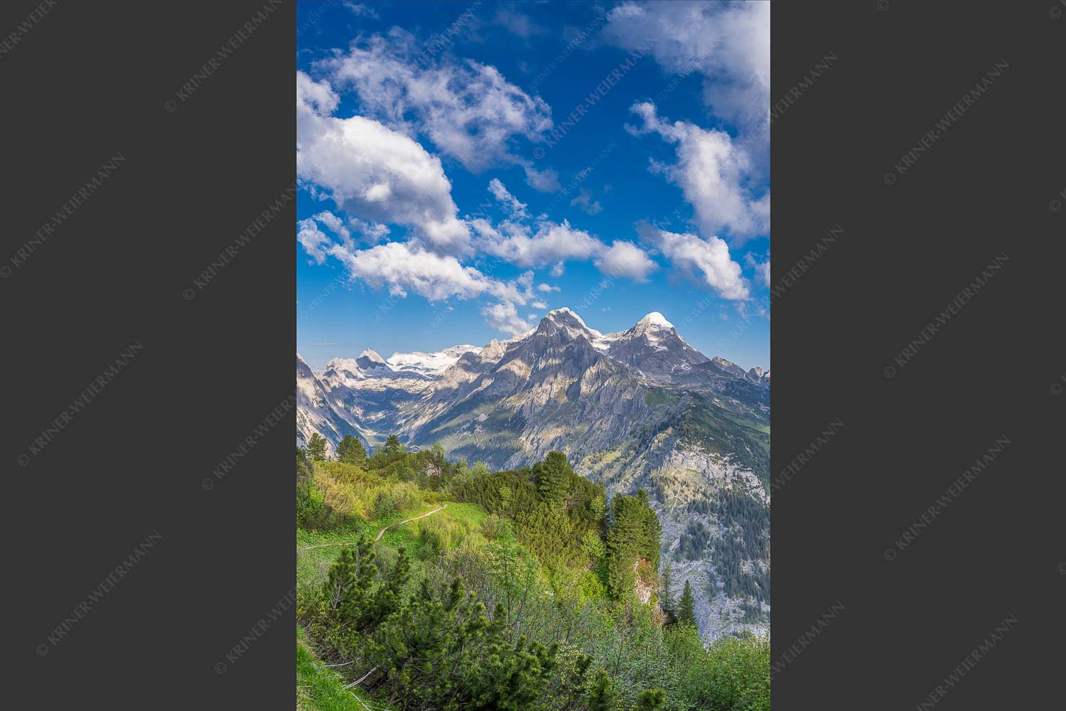 Blick über die Aussichtskanzel am Schachen zum Alpspitzmassiv mit Zugspitzplatt - Bella Vista 2:3  -- Aussicht vom Schachen - mehr Infos bei www.Kriner-Weiermann.de