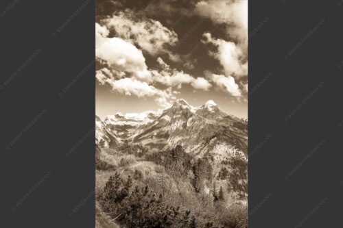 Blick über die Aussichtskanzel am Schachen zum Alpspitzmassiv mit Zugspitzplatt - Bella Vista 2:3 sepia -- Aussicht vom Schachen - mehr Infos bei www.Kriner-Weiermann.de