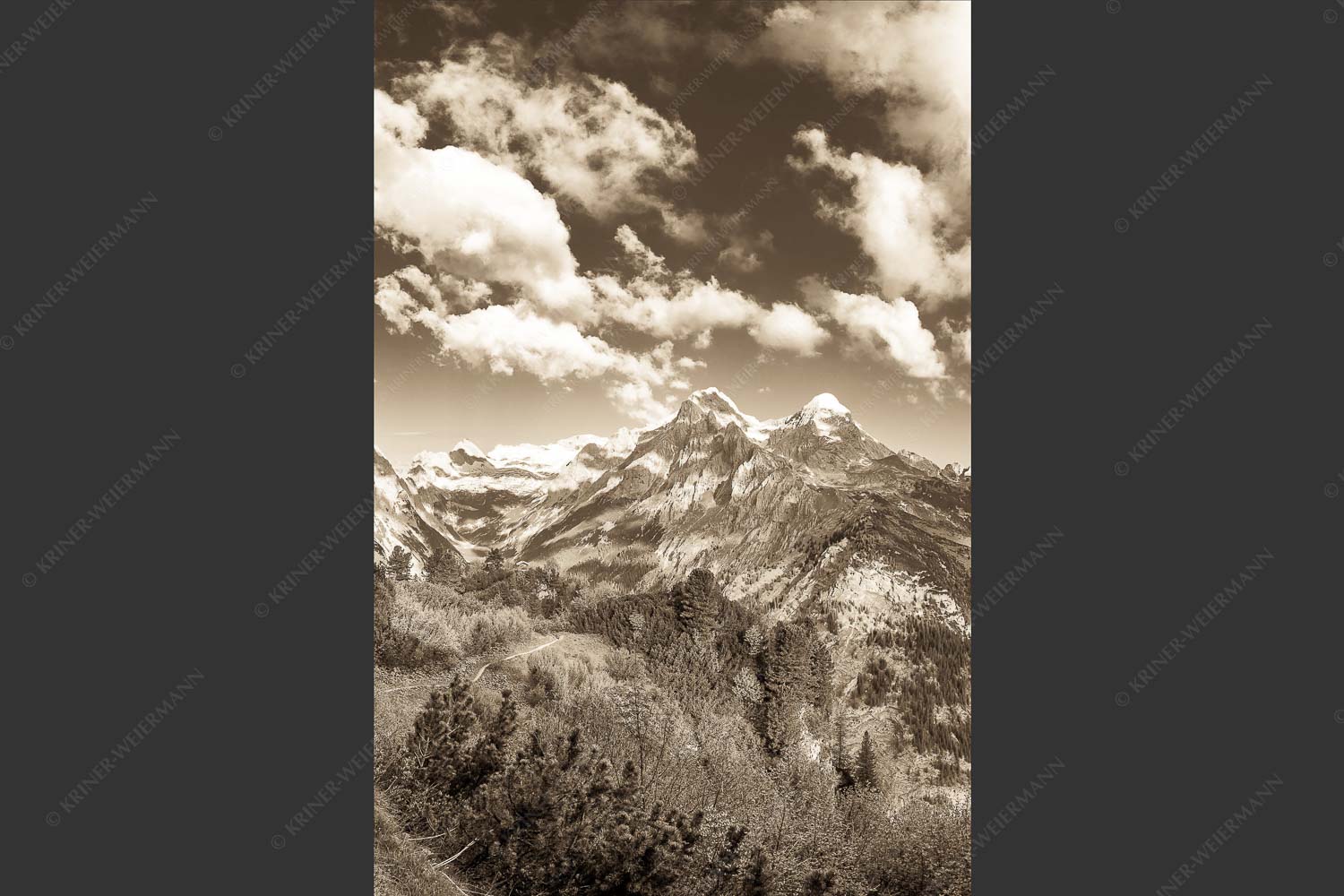Blick über die Aussichtskanzel am Schachen zum Alpspitzmassiv mit Zugspitzplatt - Bella Vista 2:3 sepia -- Aussicht vom Schachen - mehr Infos bei www.Kriner-Weiermann.de