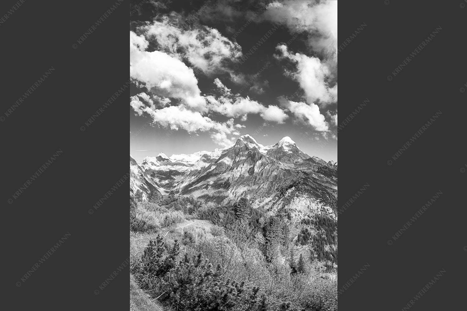 Blick über die Aussichtskanzel am Schachen zum Alpspitzmassiv mit Zugspitzplatt - Bella Vista 2:3 sw -- Aussicht vom Schachen - mehr Infos bei www.Kriner-Weiermann.de