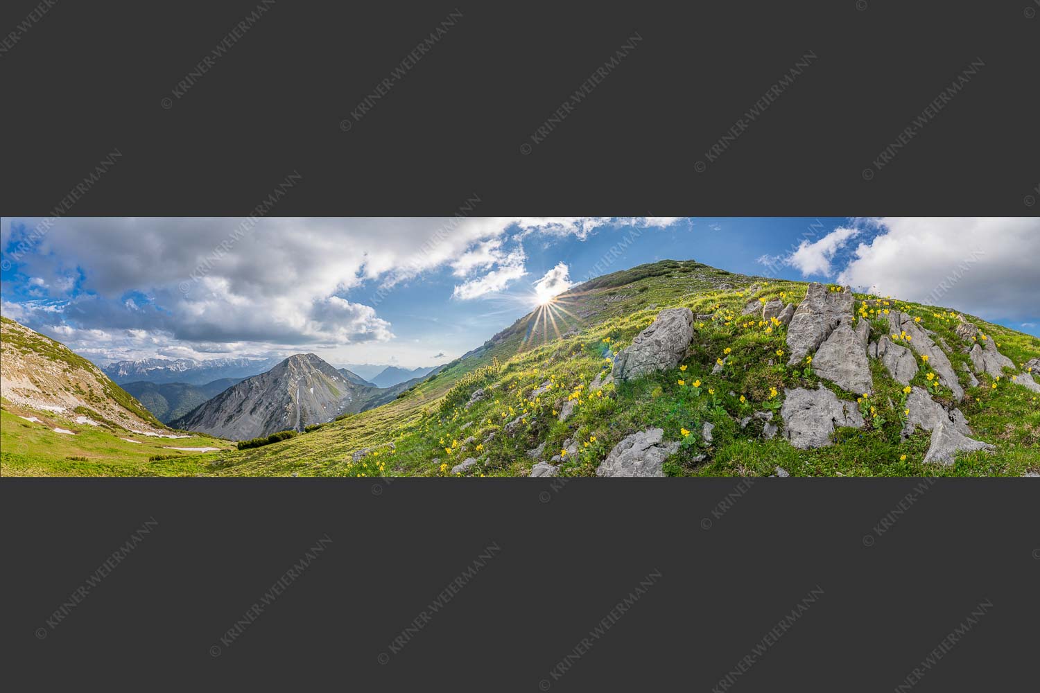 Im Frühling sind die Hänge im Estergebirge übersät mit den duftenden Blüten der Aurikel - Bergfrühling 4:1 -- Frühling im Werdenfelser Land - mehr Infos bei www.Kriner-Weiermann.de