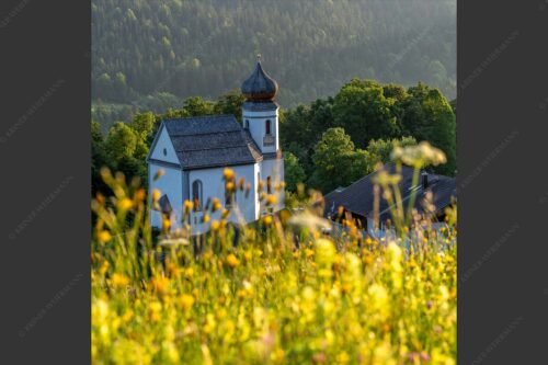 Blumenwiese mit Kirche St. Anna in Wamberg - Blumenwiese Wamberg 1:1  -- Kirche und Blumen - mehr Infos bei www.Kriner-Weiermann.de