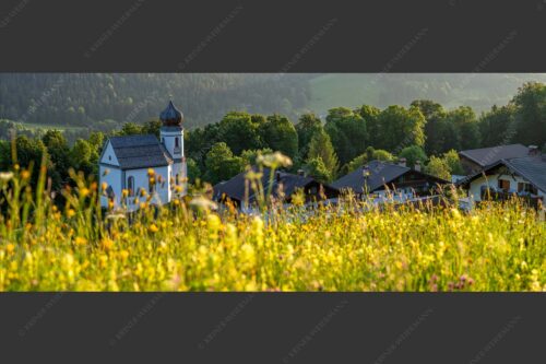 Blumenwiese mit Kirche St. Anna in Wamberg - Blumenwiese Wamberg 2,5:1  -- Kirche und Blumen - mehr Infos bei www.Kriner-Weiermann.de