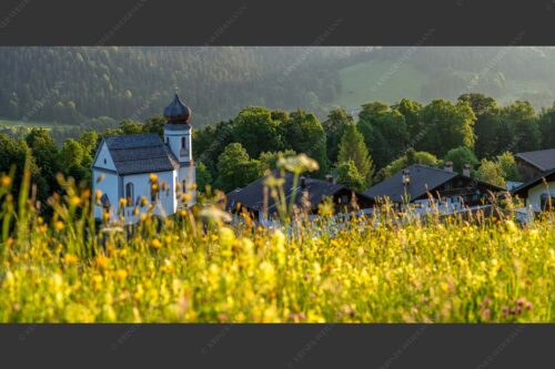 Blumenwiese mit Kirche St. Anna in Wamberg - Blumenwiese Wamberg 2:1  -- Kirche und Blumen - mehr Infos bei www.Kriner-Weiermann.de