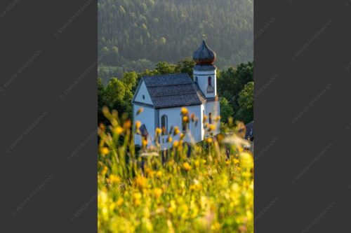 Blumenwiese mit Kirche St. Anna in Wamberg - Blumenwiese Wamberg 2:3  -- Kirche und Blumen - mehr Infos bei www.Kriner-Weiermann.de