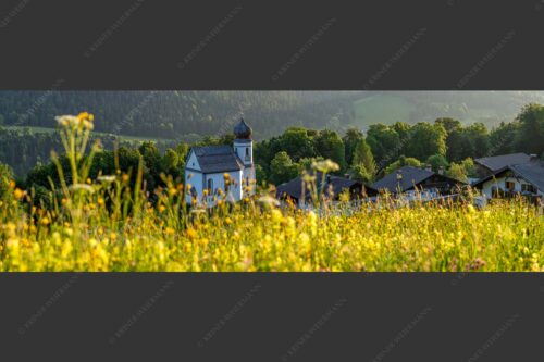 Blumenwiese mit Kirche St. Anna in Wamberg - Blumenwiese Wamberg 3:1  -- Kirche und Blumen - mehr Infos bei www.Kriner-Weiermann.de