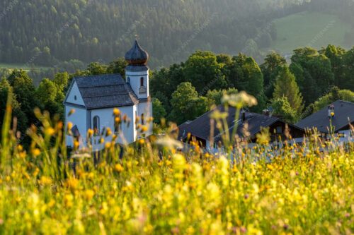 Blumenwiese mit Kirche St. Anna in Wamberg - Blumenwiese Wamberg 3:2  -- Kirche und Blumen - mehr Infos bei www.Kriner-Weiermann.de