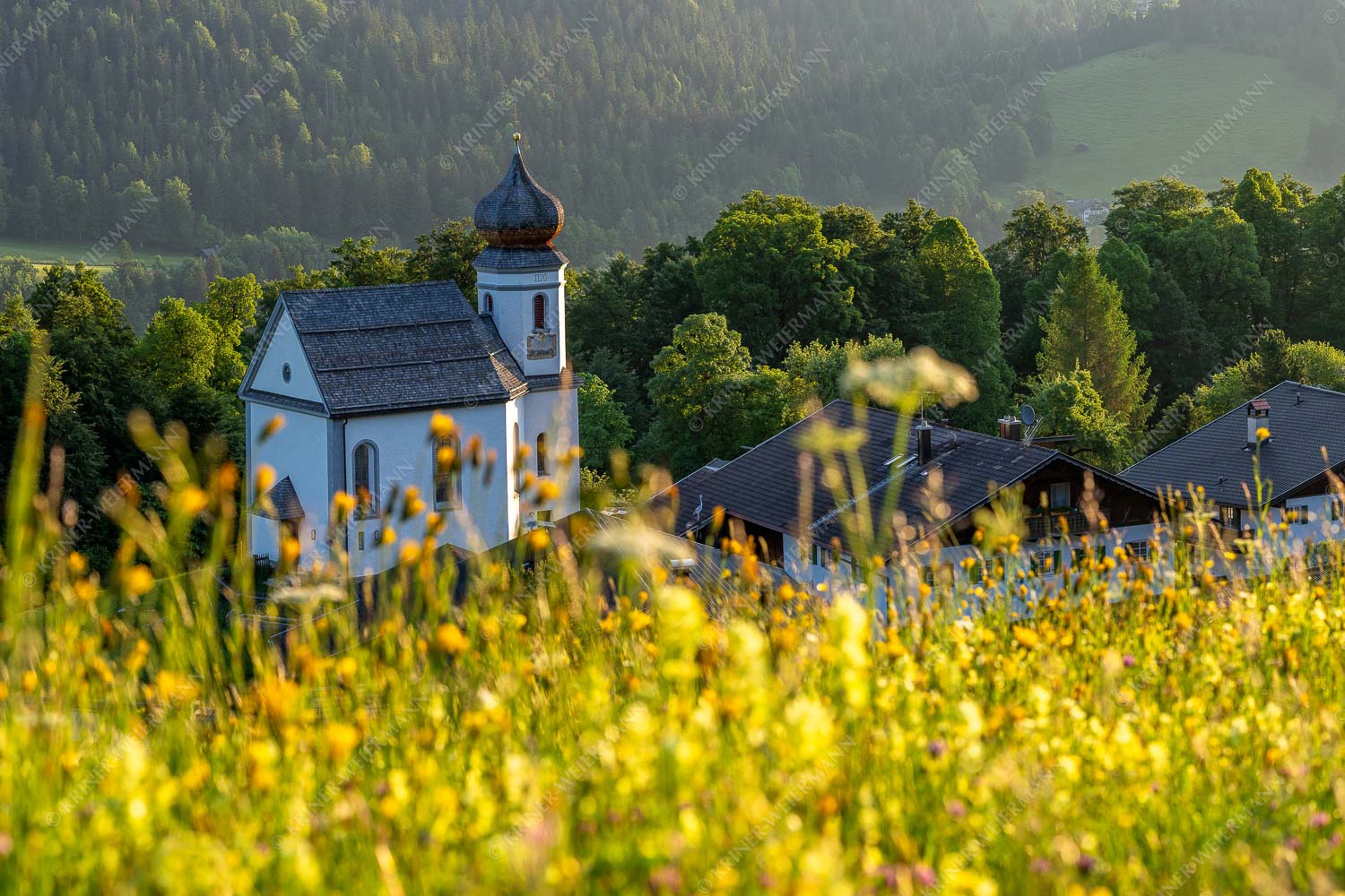 Blumenwiese mit Kirche St. Anna in Wamberg - Blumenwiese Wamberg 3:2 -- Kirche und Blumen - mehr Infos bei www.Kriner-Weiermann.de