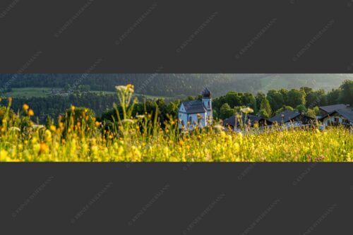 Blumenwiese mit Kirche St. Anna in Wamberg - Blumenwiese Wamberg 4:1  -- Kirche und Blumen - mehr Infos bei www.Kriner-Weiermann.de
