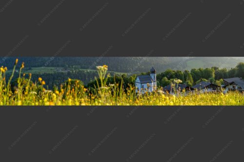 Blumenwiese mit Kirche St. Anna in Wamberg - Blumenwiese Wamberg 5:1  -- Kirche und Blumen - mehr Infos bei www.Kriner-Weiermann.de