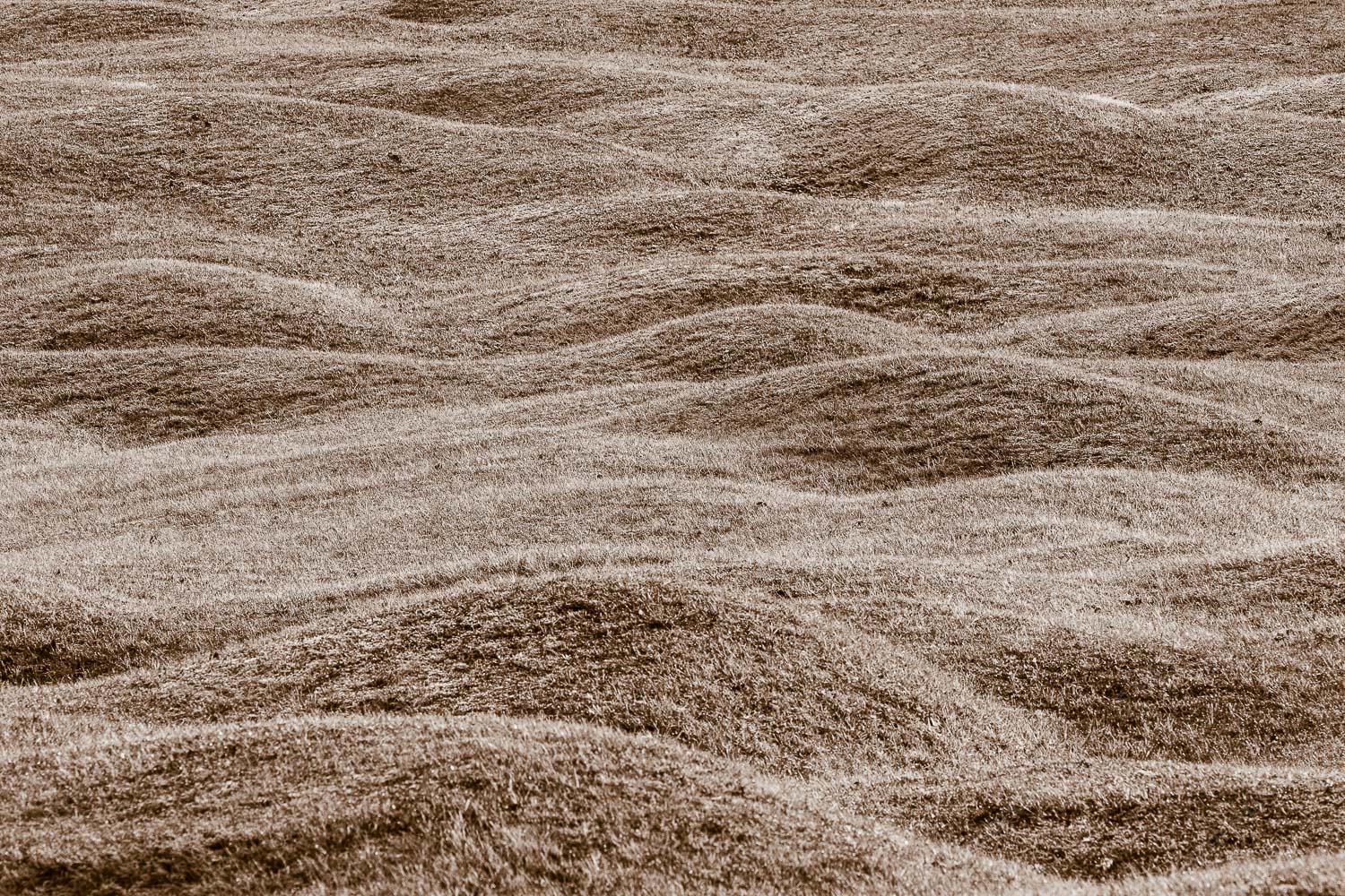 Buckelwiesen mit Reif - Buckelwiesen im Herbst 3:2 sepia -- Buckelwiesen bei Krün - mehr Infos bei www.Kriner-Weiermann.de
