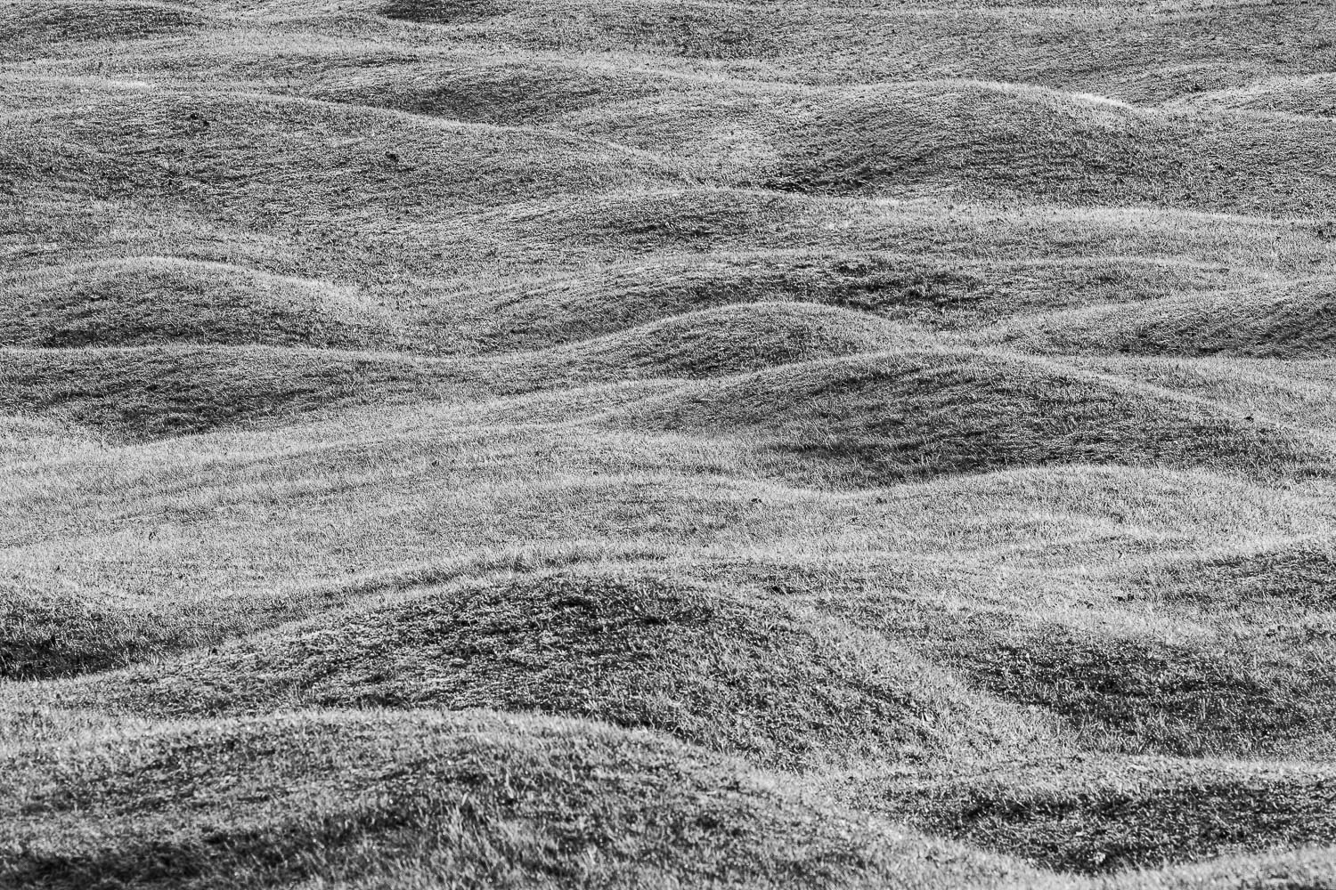 Buckelwiesen mit Reif - Buckelwiesen im Herbst 3:2 sw -- Buckelwiesen bei Krün - mehr Infos bei www.Kriner-Weiermann.de