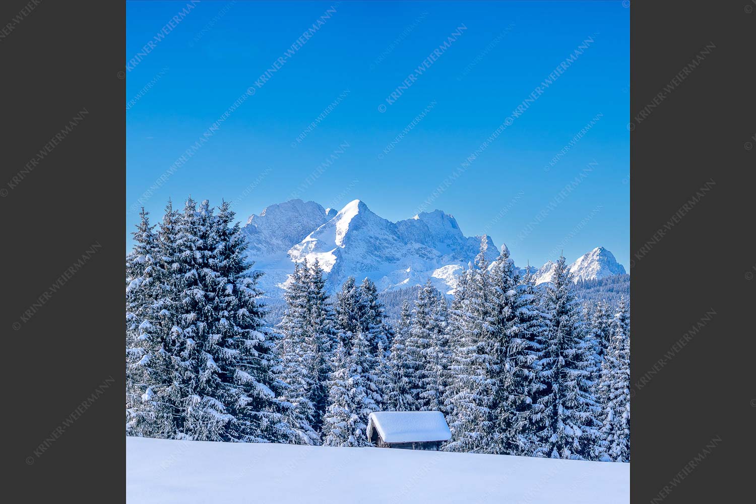 Blick zum Wettersteingebirge mit Zugspitzmassiv - Der Wetterstein 1:1  -- Winter Wald und Heustadel - mehr Infos bei www.Kriner-Weiermann.de