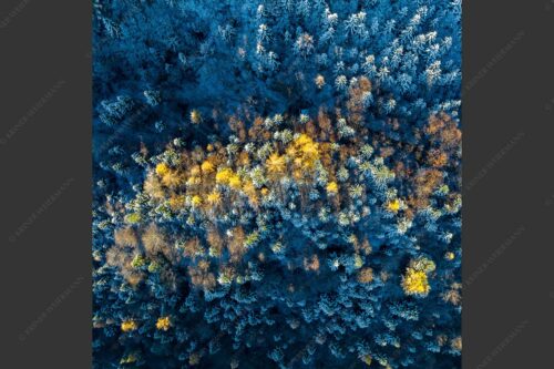 Ein farbenfroher Abschied vom Herbst im Wettersteingebirge - Die letzten Farbtupfer 1:1  -- Herbstwald von Oben - mehr Infos bei www.Kriner-Weiermann.de