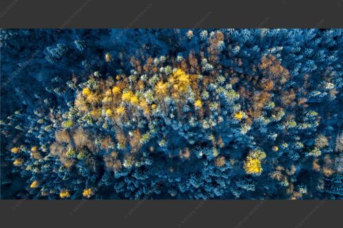 Ein farbenfroher Abschied vom Herbst im Wettersteingebirge - Die letzten Farbtupfer 2:1  -- Herbstwald von Oben - mehr Infos bei www.Kriner-Weiermann.de