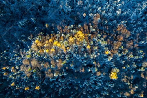 Ein farbenfroher Abschied vom Herbst im Wettersteingebirge - Die letzten Farbtupfer 3:2  -- Herbstwald von Oben - mehr Infos bei www.Kriner-Weiermann.de