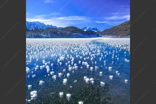 Eisblumen am Barmsee mit Blick zum Wettersteingebirge mit Zugspitzmassiv - Eisrosen 1:1  -- Eiskristalle auf Barmsee - mehr Infos bei www.Kriner-Weiermann.de