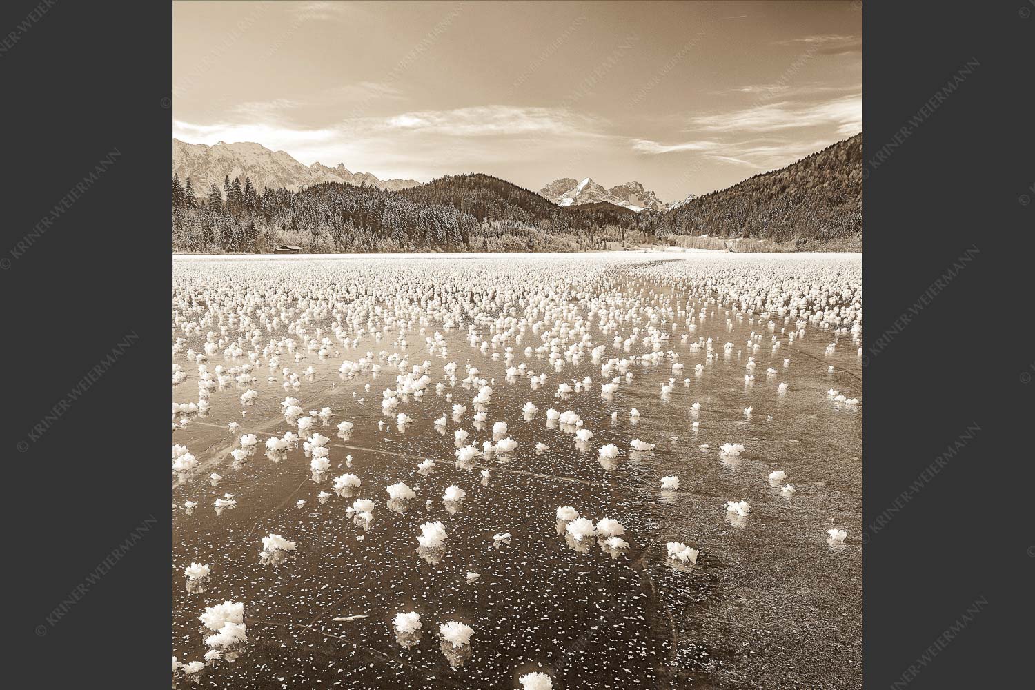 Eisblumen am Barmsee mit Blick zum Wettersteingebirge mit Zugspitzmassiv - Eisrosen 1:1 sepia -- Eiskristalle auf Barmsee - mehr Infos bei www.Kriner-Weiermann.de