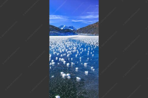 Eisblumen am Barmsee mit Blick zum Wettersteingebirge mit Zugspitzmassiv - Eisrosen 1:2  -- Eiskristalle auf Barmsee - mehr Infos bei www.Kriner-Weiermann.de