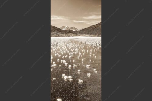 Eisblumen am Barmsee mit Blick zum Wettersteingebirge mit Zugspitzmassiv - Eisrosen 1:2 sepia -- Eiskristalle auf Barmsee - mehr Infos bei www.Kriner-Weiermann.de