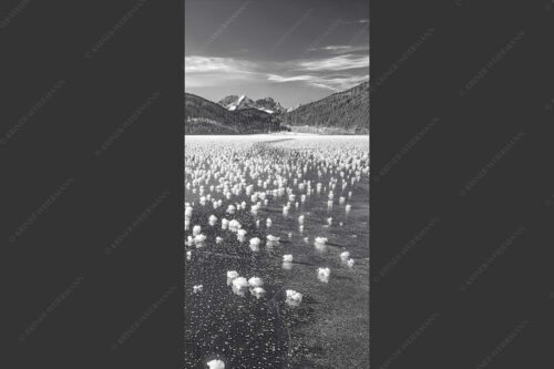 Eisblumen am Barmsee mit Blick zum Wettersteingebirge mit Zugspitzmassiv - Eisrosen 1:2 sw -- Eiskristalle auf Barmsee - mehr Infos bei www.Kriner-Weiermann.de
