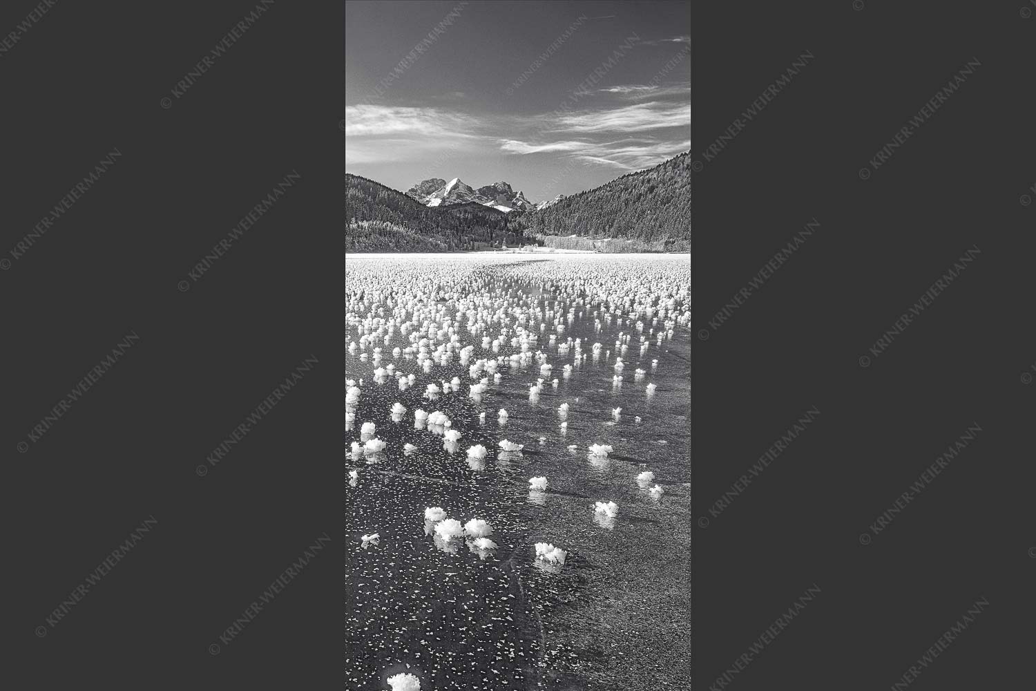 Eisblumen am Barmsee mit Blick zum Wettersteingebirge mit Zugspitzmassiv - Eisrosen 1:2 sw -- Eiskristalle auf Barmsee - mehr Infos bei www.Kriner-Weiermann.de