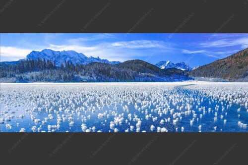 Eisblumen am Barmsee mit Blick zum Wettersteingebirge mit Zugspitzmassiv - Eisrosen 2,5:1  -- Eiskristalle auf Barmsee - mehr Infos bei www.Kriner-Weiermann.de