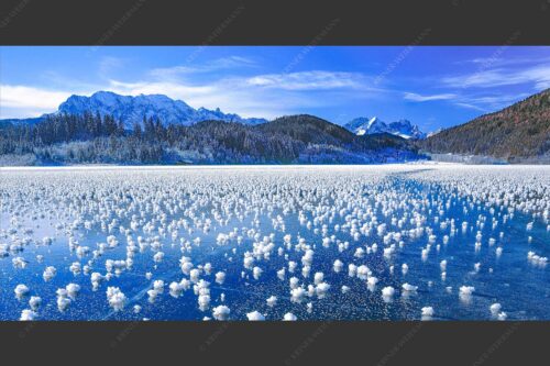 Eisblumen am Barmsee mit Blick zum Wettersteingebirge mit Zugspitzmassiv - Eisrosen 2:1  -- Eiskristalle auf Barmsee - mehr Infos bei www.Kriner-Weiermann.de