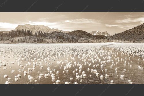 Eisblumen am Barmsee mit Blick zum Wettersteingebirge mit Zugspitzmassiv - Eisrosen 2:1 sepia -- Eiskristalle auf Barmsee - mehr Infos bei www.Kriner-Weiermann.de