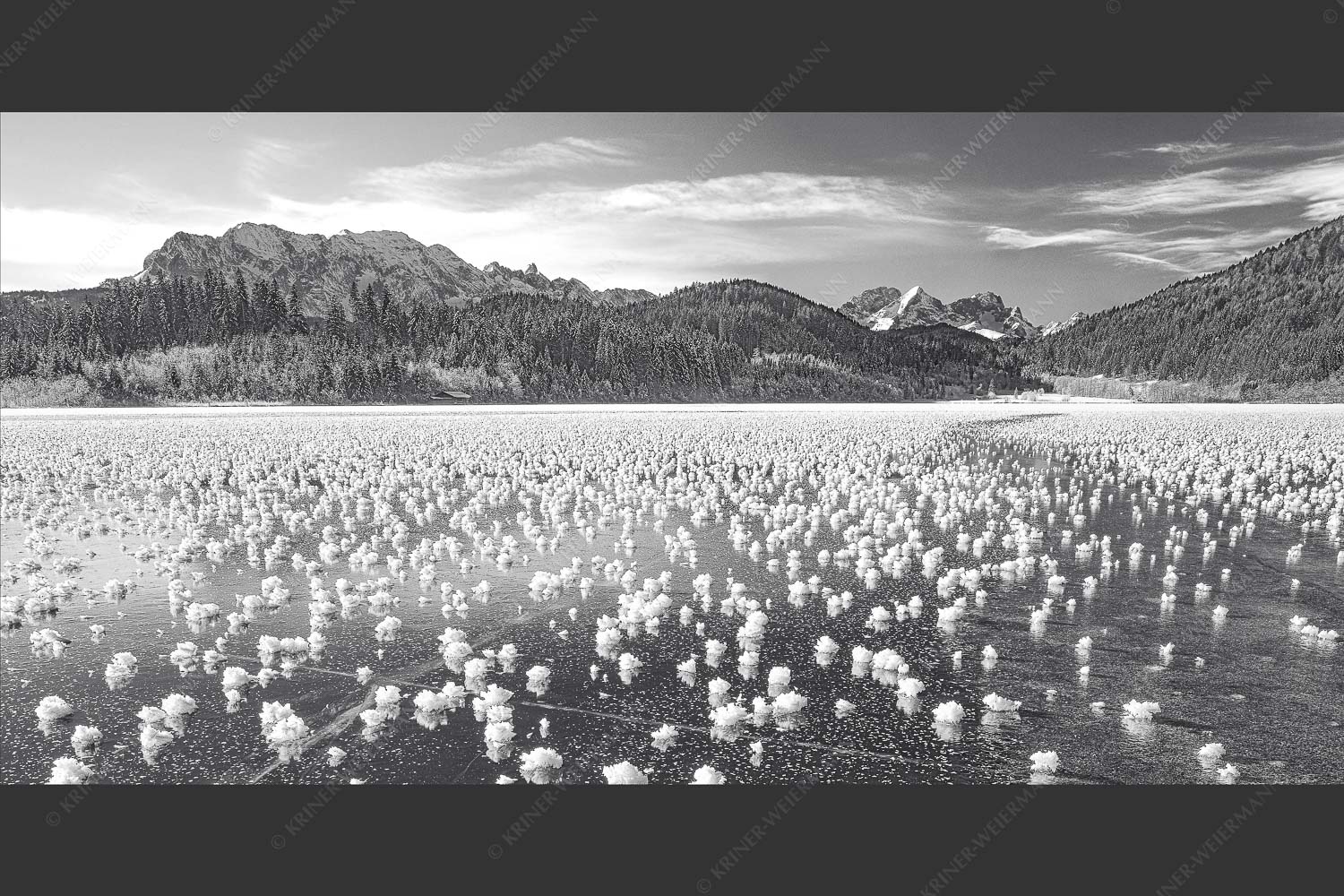 Eisblumen am Barmsee mit Blick zum Wettersteingebirge mit Zugspitzmassiv - Eisrosen 2:1 sw -- Eiskristalle auf Barmsee - mehr Infos bei www.Kriner-Weiermann.de