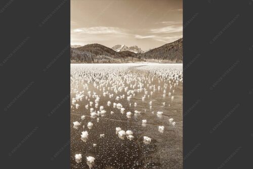 Eisblumen am Barmsee mit Blick zum Wettersteingebirge mit Zugspitzmassiv - Eisrosen 2:3 sepia -- Eiskristalle auf Barmsee - mehr Infos bei www.Kriner-Weiermann.de