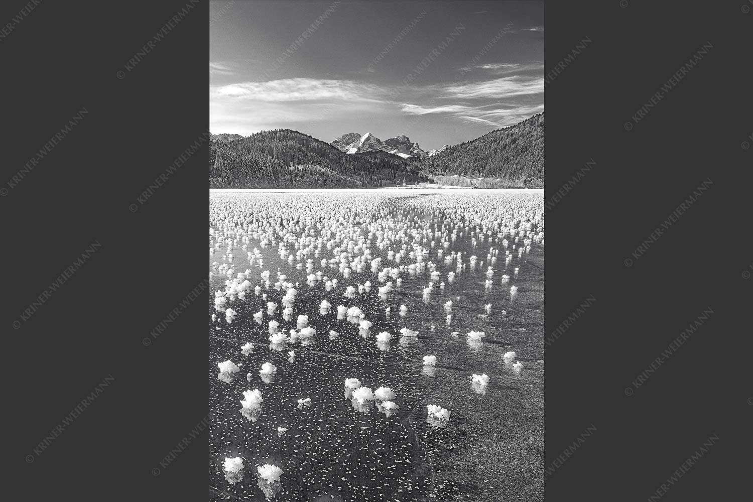 Eisblumen am Barmsee mit Blick zum Wettersteingebirge mit Zugspitzmassiv - Eisrosen 2:3 sw -- Eiskristalle auf Barmsee - mehr Infos bei www.Kriner-Weiermann.de