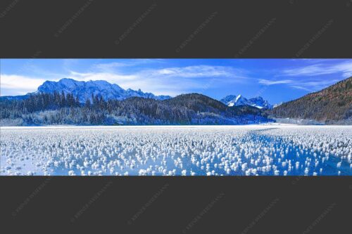 Eisblumen am Barmsee mit Blick zum Wettersteingebirge mit Zugspitzmassiv - Eisrosen 3:1  -- Eiskristalle auf Barmsee - mehr Infos bei www.Kriner-Weiermann.de