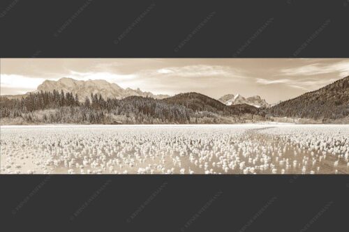 Eisblumen am Barmsee mit Blick zum Wettersteingebirge mit Zugspitzmassiv - Eisrosen 3:1 sepia -- Eiskristalle auf Barmsee - mehr Infos bei www.Kriner-Weiermann.de
