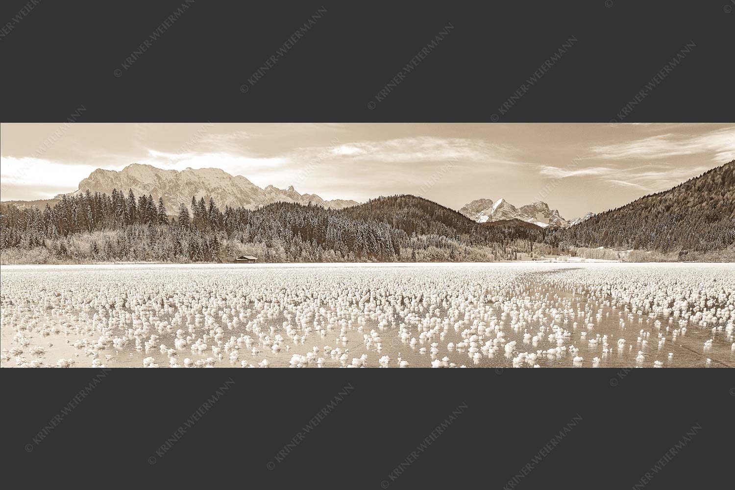 Eisblumen am Barmsee mit Blick zum Wettersteingebirge mit Zugspitzmassiv - Eisrosen 3:1 sepia -- Eiskristalle auf Barmsee - mehr Infos bei www.Kriner-Weiermann.de