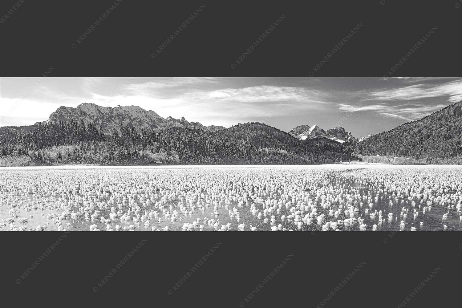 Eisblumen am Barmsee mit Blick zum Wettersteingebirge mit Zugspitzmassiv - Eisrosen 3:1 sw -- Eiskristalle auf Barmsee - mehr Infos bei www.Kriner-Weiermann.de