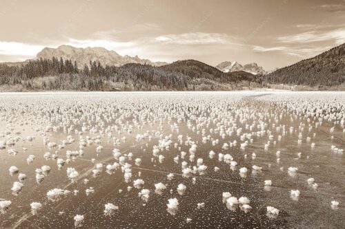 Eisblumen am Barmsee mit Blick zum Wettersteingebirge mit Zugspitzmassiv - Eisrosen 3:2 sepia -- Eiskristalle auf Barmsee - mehr Infos bei www.Kriner-Weiermann.de