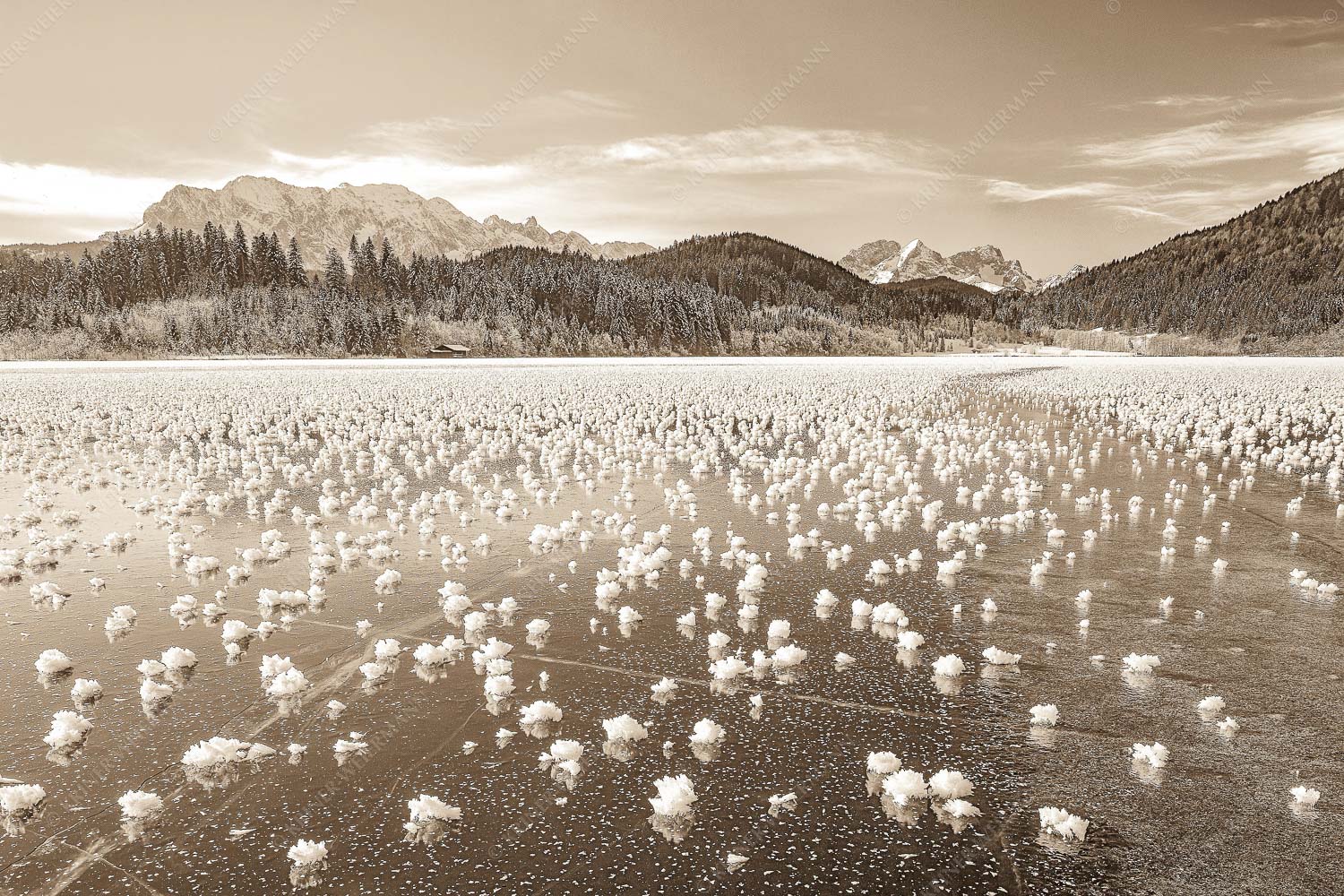 Eisblumen am Barmsee mit Blick zum Wettersteingebirge mit Zugspitzmassiv - Eisrosen 3:2 sepia -- Eiskristalle auf Barmsee - mehr Infos bei www.Kriner-Weiermann.de