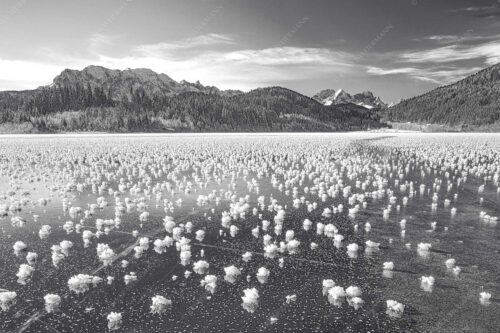 Eisblumen am Barmsee mit Blick zum Wettersteingebirge mit Zugspitzmassiv - Eisrosen 3:2 sw -- Eiskristalle auf Barmsee - mehr Infos bei www.Kriner-Weiermann.de