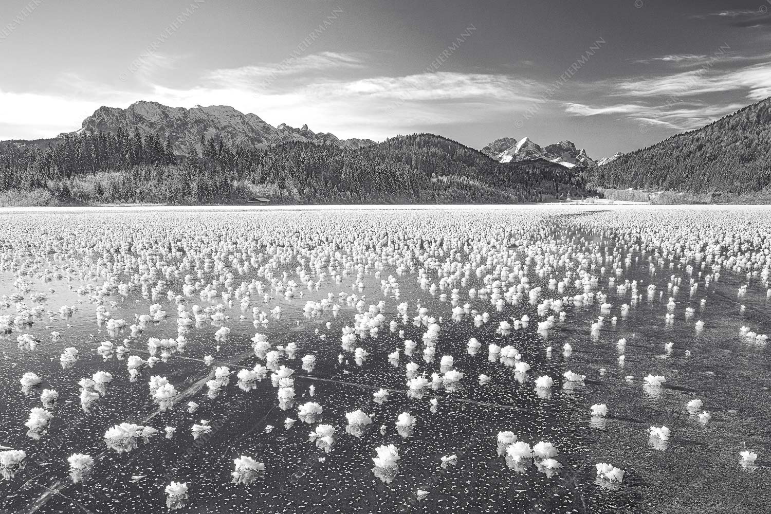 Eisblumen am Barmsee mit Blick zum Wettersteingebirge mit Zugspitzmassiv - Eisrosen 3:2 sw -- Eiskristalle auf Barmsee - mehr Infos bei www.Kriner-Weiermann.de