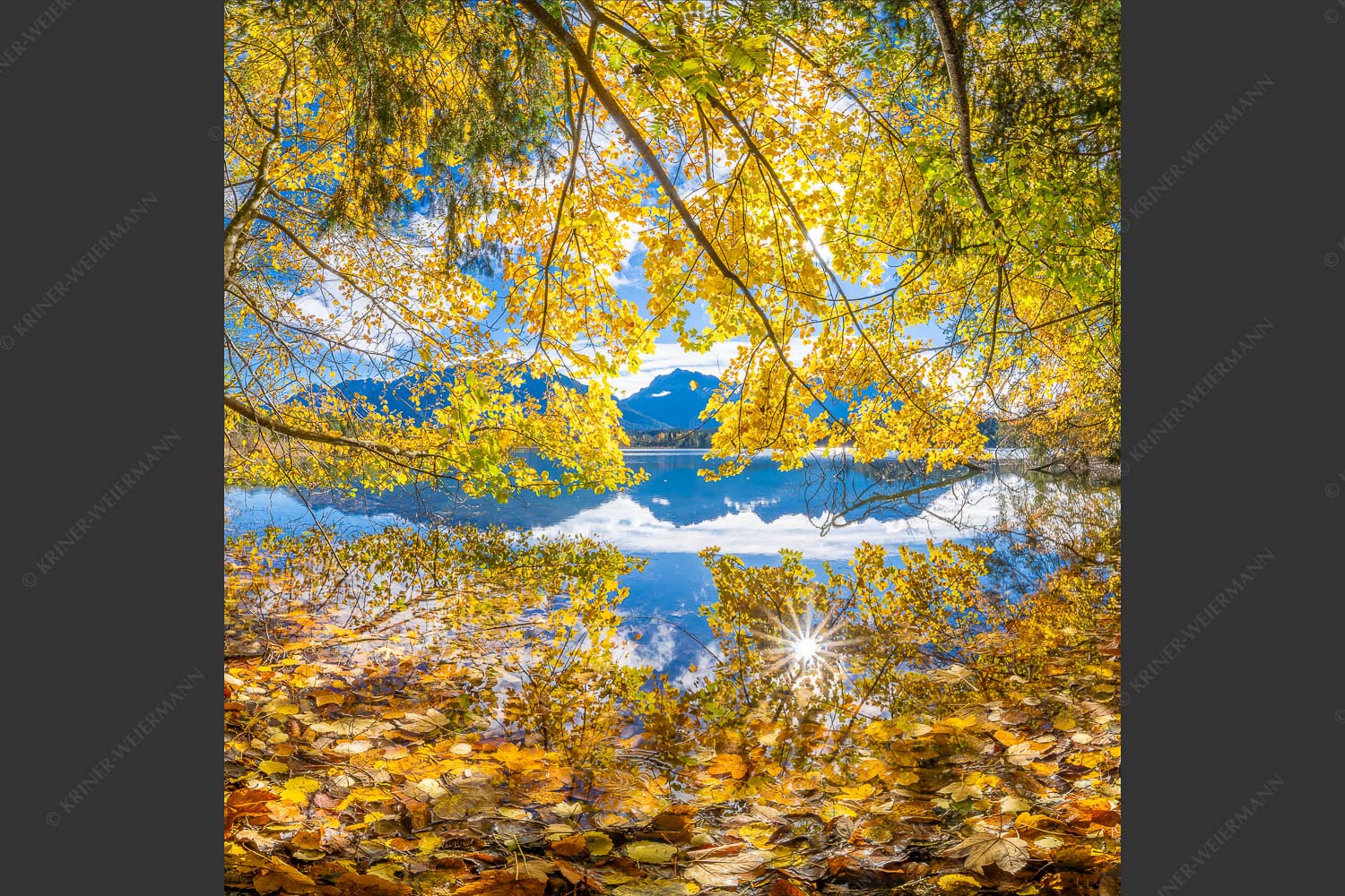 Wenn die Äste mit buntem Laub beinahe das Wasser berühren entstehen traumhafte Bilder - Farbpalette 1:1  -- Barmsee mit Karwendlegebirge - mehr Infos bei www.Kriner-Weiermann.de