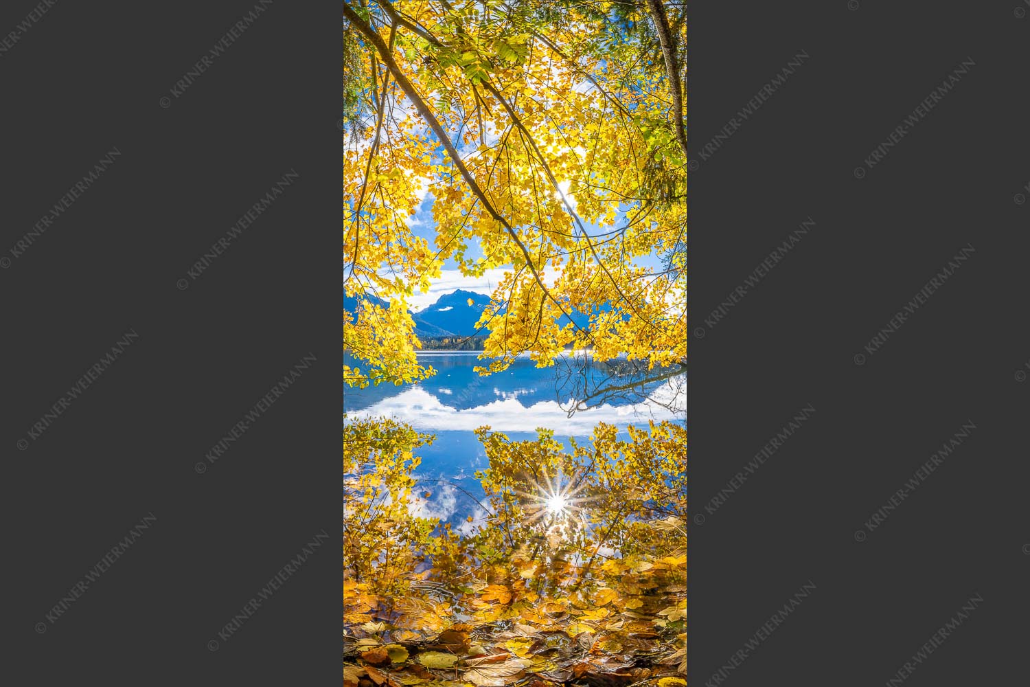 Wenn die Äste mit buntem Laub beinahe das Wasser berühren entstehen traumhafte Bilder - Farbpalette 1:2  -- Barmsee mit Karwendlegebirge - mehr Infos bei www.Kriner-Weiermann.de