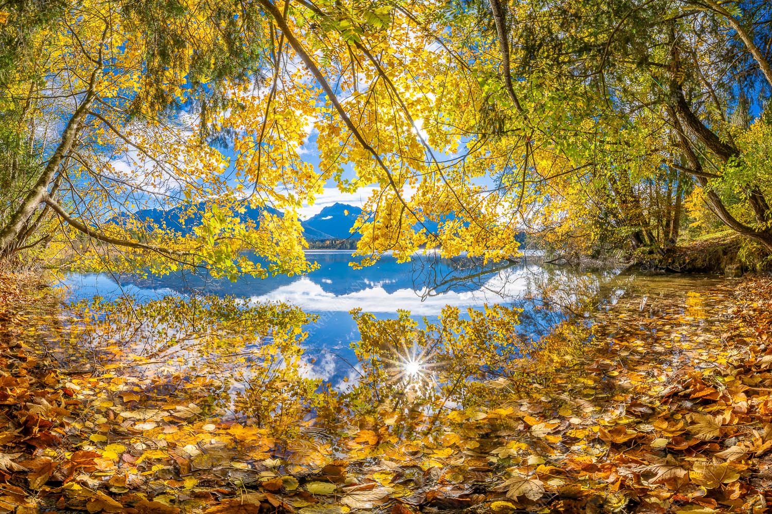 Wenn die Äste mit buntem Laub beinahe das Wasser berühren entstehen traumhafte Bilder - Farbpalette 3:2  -- Barmsee mit Karwendlegebirge - mehr Infos bei www.Kriner-Weiermann.de