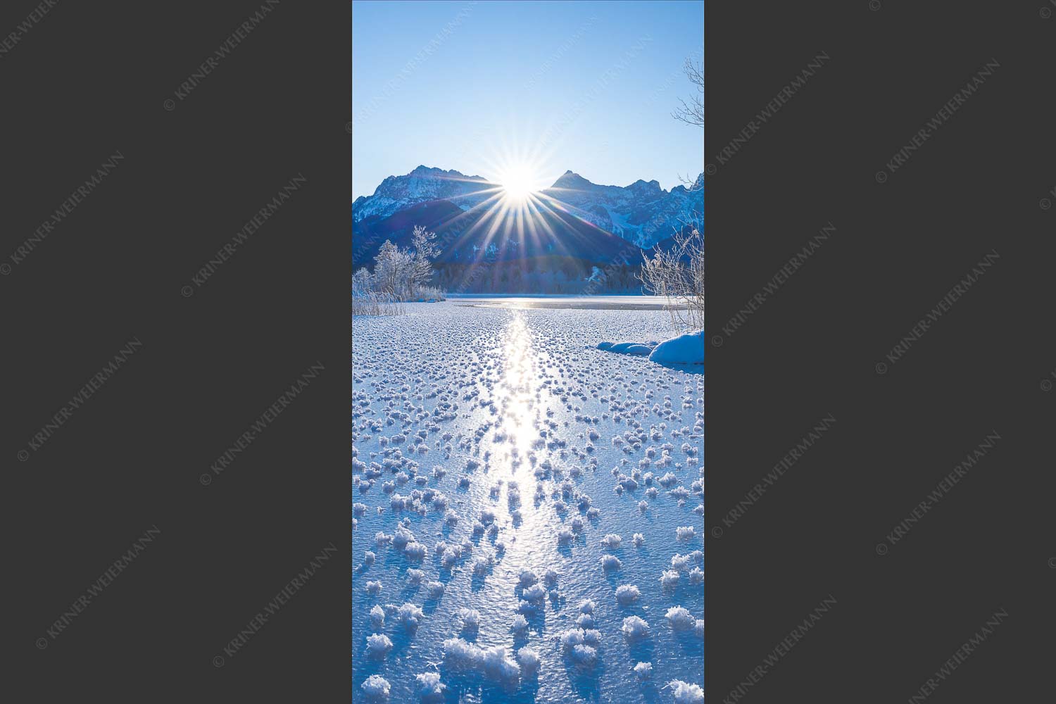 Bei großer Kälte und ohne Niederschlag bilden sich tausende Eisrosen am Barmsee - Filigran 1:2  -- Barmsee mit Karwendel - mehr Infos bei www.Kriner-Weiermann.de