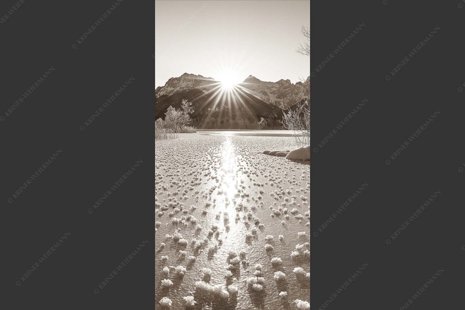 Bei großer Kälte und ohne Niederschlag bilden sich tausende Eisrosen am Barmsee - Filigran 1:2 sepia -- Barmsee mit Karwendel - mehr Infos bei www.Kriner-Weiermann.de