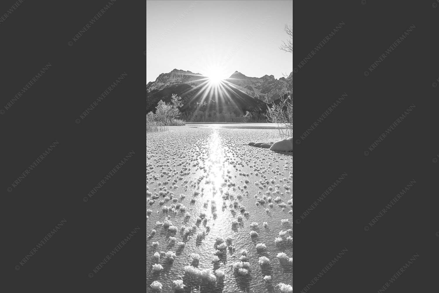 Bei großer Kälte und ohne Niederschlag bilden sich tausende Eisrosen am Barmsee - Filigran 1:2 sw -- Barmsee mit Karwendel - mehr Infos bei www.Kriner-Weiermann.de