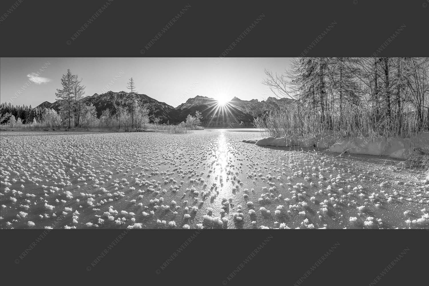Bei großer Kälte und ohne Niederschlag bilden sich tausende Eisrosen am Barmsee - Filigran 2,5:1 sw -- Barmsee mit Karwendel - mehr Infos bei www.Kriner-Weiermann.de