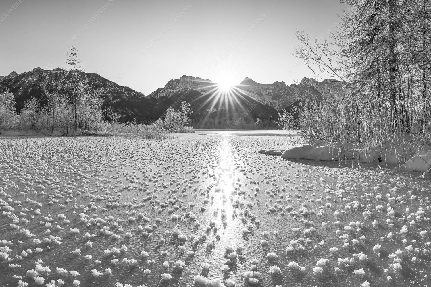 Bei großer Kälte und ohne Niederschlag bilden sich tausende Eisrosen am Barmsee - Filigran 3:2 sw -- Barmsee mit Karwendel - mehr Infos bei www.Kriner-Weiermann.de