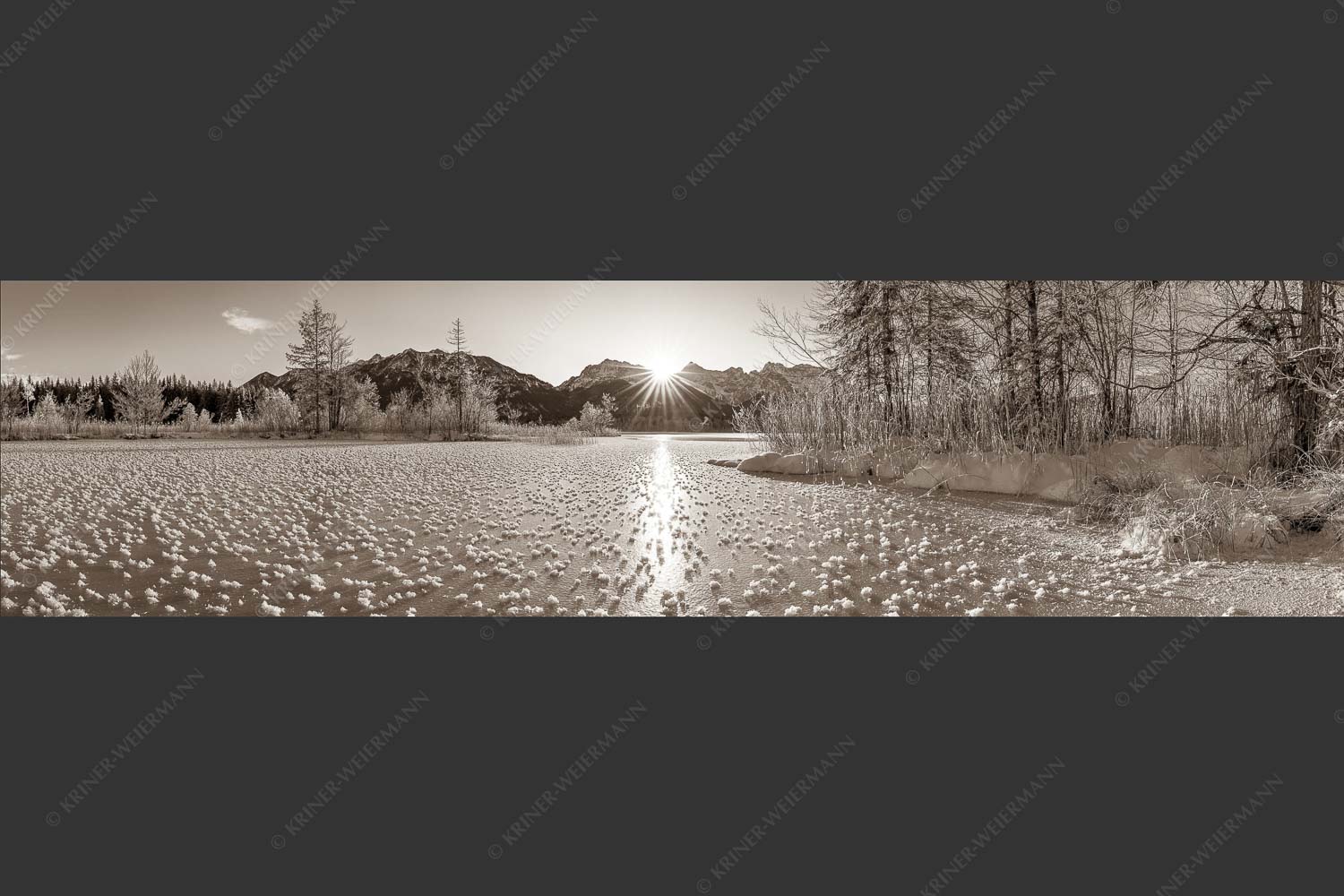 Bei großer Kälte und ohne Niederschlag bilden sich tausende Eisrosen am Barmsee - Filigran 4:1 sepia -- Barmsee mit Karwendel - mehr Infos bei www.Kriner-Weiermann.de